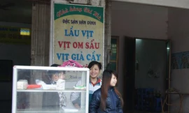 Vịt cỏ Vân Đình giả nhiều hơn thật!