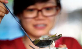 Đeo kính ăn lẩu: coi chừng mù!