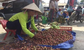 Tục cúng lễ và ăn tết Đoan Ngọ độc đáo của người xứ Lạng