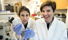 Giáo sư Brenda Ogle và cộng sự (Ảnh: Sciencedaily).