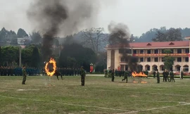 Vượt qua vòng lửa một cách điêu luyện.