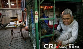 Nhà 'vỏ ốc', 'quan tài', 'lồng thép' ở Hong Kong 