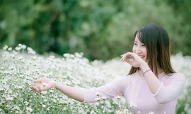 Mê mẩn ngắm thiếu nữ Hà thành khoe sắc bên cúc họa mi