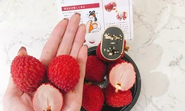 Quả vải không hạt Nhật Bản được nhập về bán tại Việt Nam. Ảnh: Mia Fruit