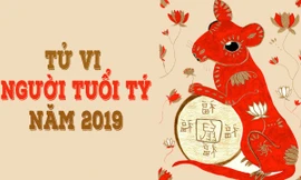 Tử vi tuổi Tý năm 2019: Vượng lộc viên mãn, số gặp quý nhân