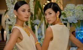 Lê Thúy tố BTC Fashion Voyage đối xử tệ, cho người mẫu ăn cơm nguội