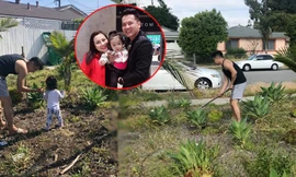 Bất ngờ nam diễn viên Việt bỏ showbiz sang Mỹ làm vườn, cuốc đất?