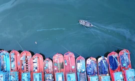 Bay trên biển- trời Bình Định