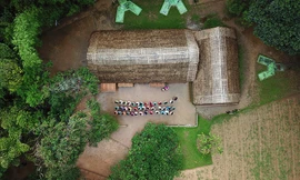 Làng sen quê Bác tuyệt đẹp dưới góc máy flycam