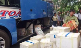 Gần 5 tạ cá được trữ trong 15 thùng xốp để chuyển ra tỉnh ngoài tiêu thụ. 