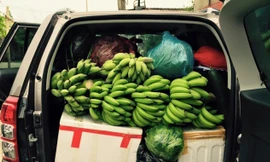 Dân Hà thành ‘săn’ hàng quê, chuộng chợ cóc