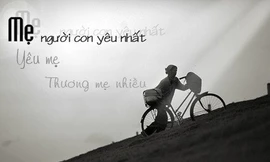 Những lời chúc 8/3 ý nghĩa dành tặng mẹ và một nửa yêu thương