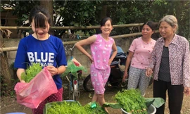 Cô bé bán rau rừng 'duyên ơi là duyên' khiến dân mạng phát sốt