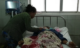 Bệnh nhân nhập viện do chủ quan ăn cá nóc mít.