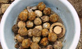 Số bom bi “con” được tách ra từ quả bom bi “mẹ”.