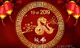 Tử vi tuổi Tỵ năm 2019: Khó khăn, nhưng có thể xoay chuyển tình thế