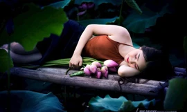 Những thiếu nữ hút mắt ở hồ sen, đâu cần phải khoe thân