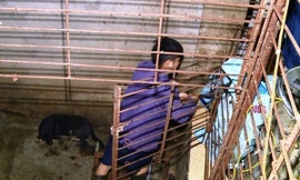 Chiếc hầm bí mật trong đường dây trộm hơn 100 tấn chó ở Thanh Hóa