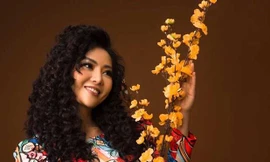 Sao Việt chúc Tết Kỷ Hợi độc giả báo Tiền Phong