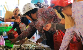 Nhộn nhịp chợ hải sản miền Tây ngày cận Tết