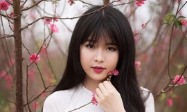 Nữ sinh Bưu chính làm duyên với hoa đào Nhật Tân