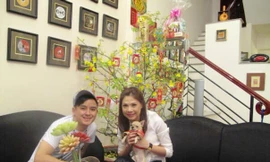 Thanh Thảo tiết lộ mua nhà 320 cây vàng lúc 20 tuổi và biệt thự triệu đô ở Mỹ