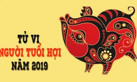 Tử vi tuổi Hợi 2019 dự báo sẽ có nhiều thay đổi, biến động về phương diện công việc, sự nghiệp. Ảnh minh hoạ.