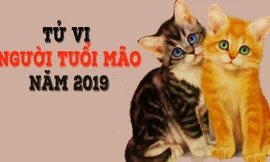 Theo tử vi phương Đông, tuổi Mão trong năm 2019 dễ bị tranh chấp, kiện tụng pháp luật rắc rối, nghiêm trọng hơn là họa lao ngục. Ảnh minh hoạ.