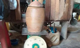 Nông dân đào được hũ tiền cổ 36 kg