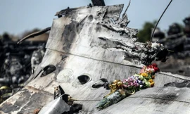 Xác máy bay MH17. (Nguồn: Sputnik)
