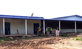 Ninh Thuận ngưng hoạt động trại heo gây ô nhiễm