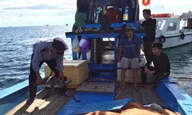 Cán bộ Ban quản lý khu bảo tồn biển đảo Cồn Cỏ phát hiện con vích nặng 15kg trên tàu ngư dân chiều 26/6.