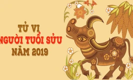 Tử vi tuổi Sửu năm 2019: Gia đạo bất ổn, phòng đau ốm