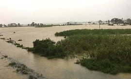 Khu vực hai phân trại của Trại giam số 5 Yên Định đang ngập rất nặng. Ảnh: C.B.