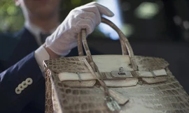 Cận cảnh túi Hermes Birkin mà Ngọc Trinh sở hữu gây tranh cãi