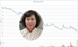 Giá cổ phiếu DQC đang tiếp tục lao dốc.