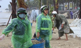 Người dân và các lực lượng nỗ lực chung ray dọn dẹp Đà Nẵng sau cơn bão số 12 để làm thành phố sạch đẹp đón APEC.