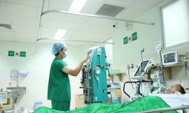 Bệnh nhân dần hồi phục sau khi bị ong đốt.