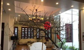 Biệt thự sang trọng của vợ chồng Á hậu Trà My ở 'phố nhà giàu" tại Hải Dương