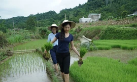 Thí sinh Phạm Thị Minh Châu (SBD 335) và Lê Thanh Tú (SBD 146) trải nghiệm cấy lúa cùng bà con dân bản.