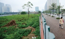 Thanh tra việc chuyển nhượng “đất vàng” tại Hà Nội