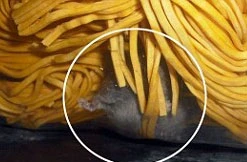 Kinh dị chuột lẫn trong mỳ tại nhà hàng