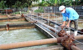 Công bố kết luận thanh tra các doanh nghiệp ở Ninh Bình