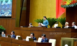 Quốc hội biểu dương tinh thần yêu nước và sự quan tâm sâu sắc của nhân dân đến các vấn đề quan trọng của đất nước