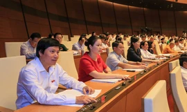 Quốc hội chốt Quốc hội sẽ cho ý kiến về Luật sửa đổi, bổ sung một số điều của Luật Đất đai. Ảnh Như Ý