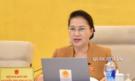 Chủ tịch Quốc hội: Nhà nước thất thoát về đất đai nhiều lắm