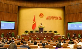 Trình Quốc hội miễn nhiệm Phó Chủ tịch, Uỷ viên Hội đồng bầu cử Quốc gia