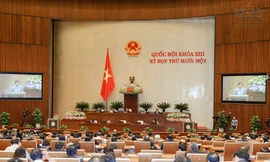 Quốc hội bầu một số thành viên Hội đồng Bầu cử Quốc gia