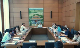 ĐBQH thảo luận tại phiên họp tổ. Ảnh Như Ý