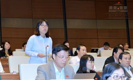 Đại biểu Quốc hội Phạm Thị Minh Hiền